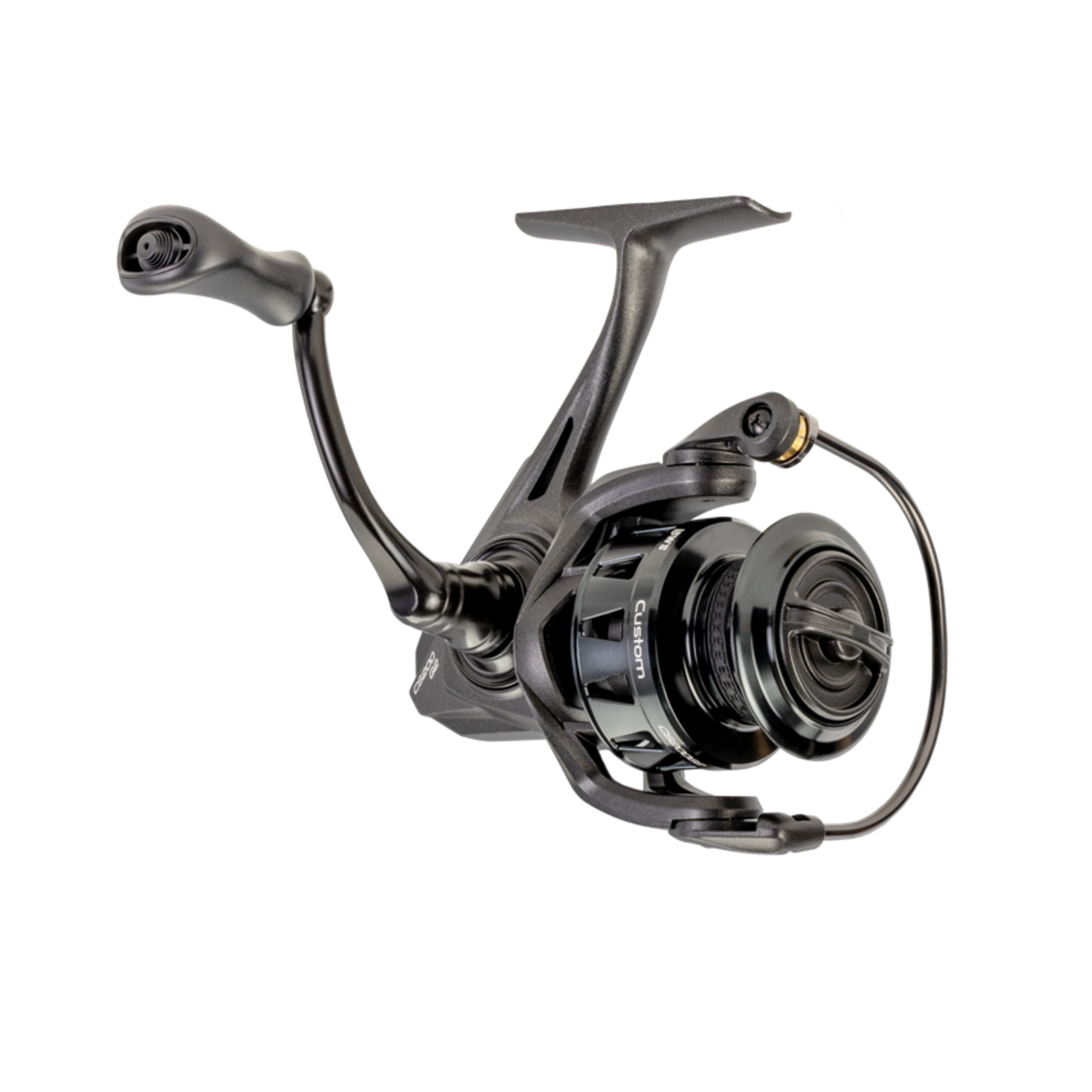 LEW's Lew's Custom 200 Spinning Reel
