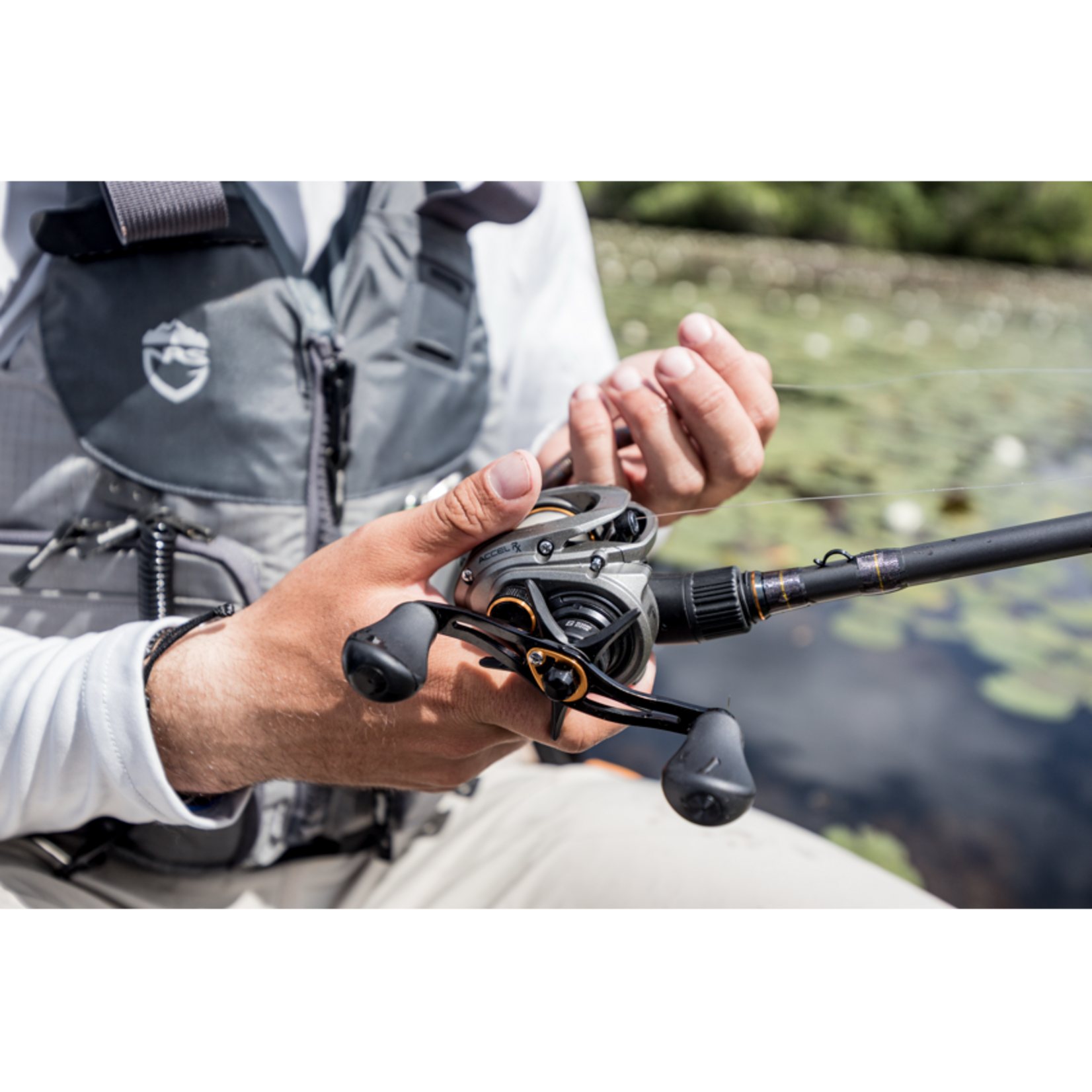 LEW's Lew's Accel RX Casting Reel