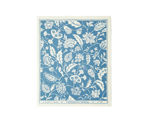 antoinette-poisson-indienne-