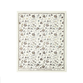 Antoinette Poisson Petite Indienne Domino Paper