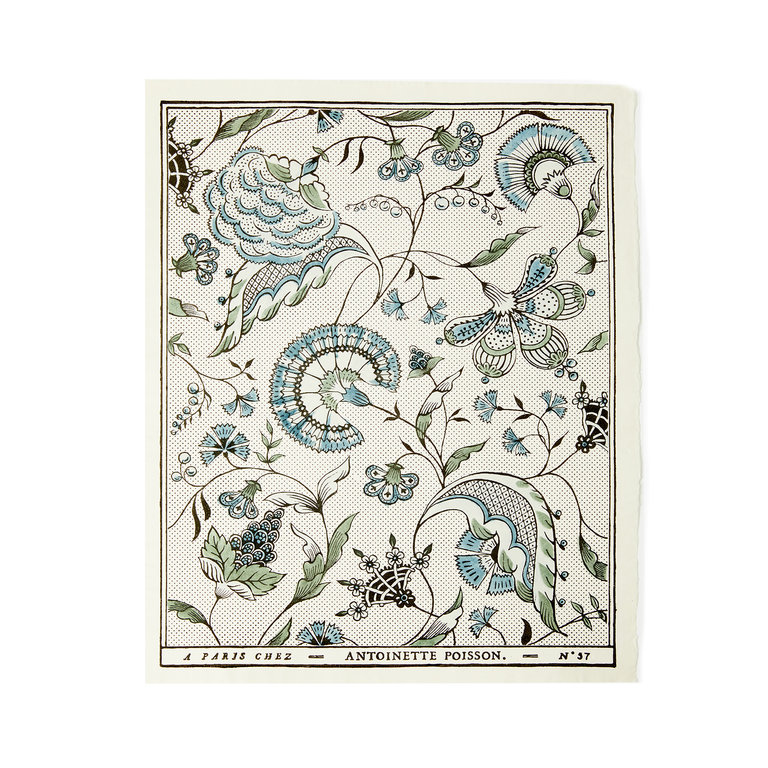 Antoinette Poisson Jaipur Domino Paper