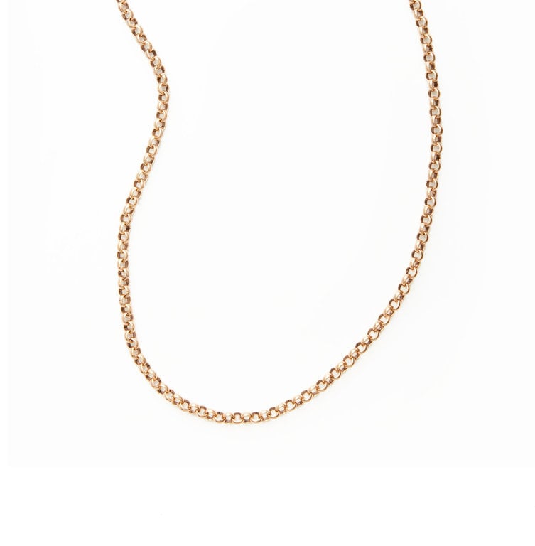 Fallen Aristocrat Long Rolo Chain Necklace