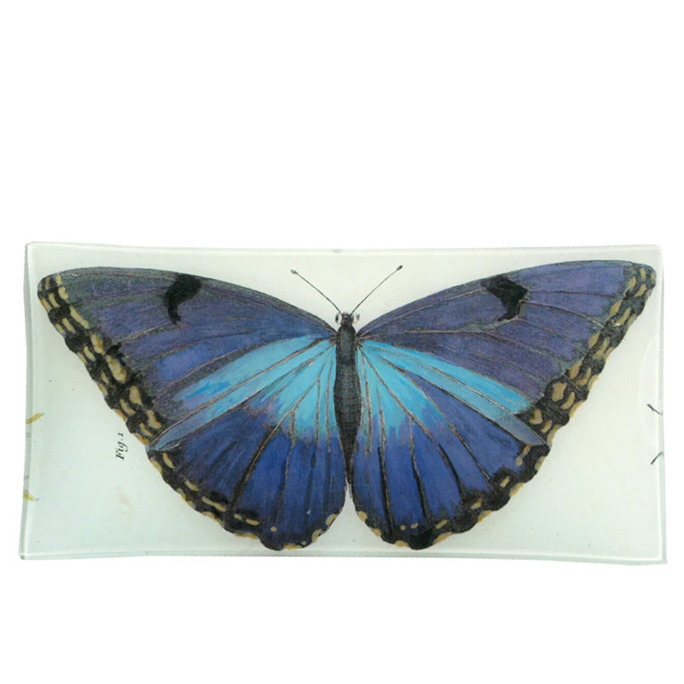 John Derian Blue Butterfly Pencil Tray