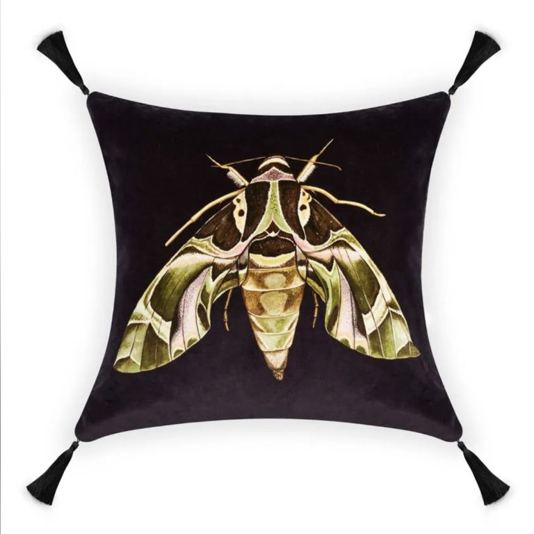 Moth Noir Medium Velvet Pillow