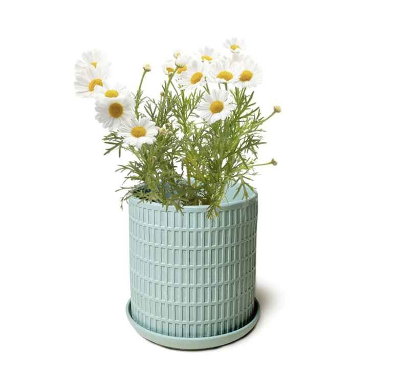 Virago Olive Planter