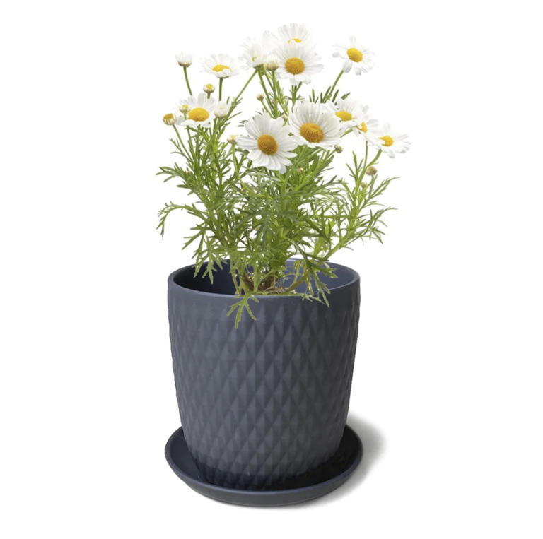 Virago Black Planter