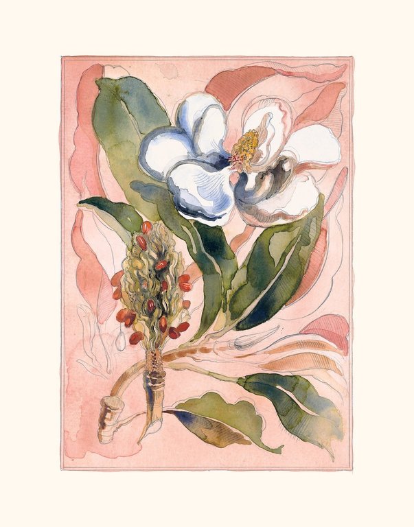 Limited Edition Magnolia Print