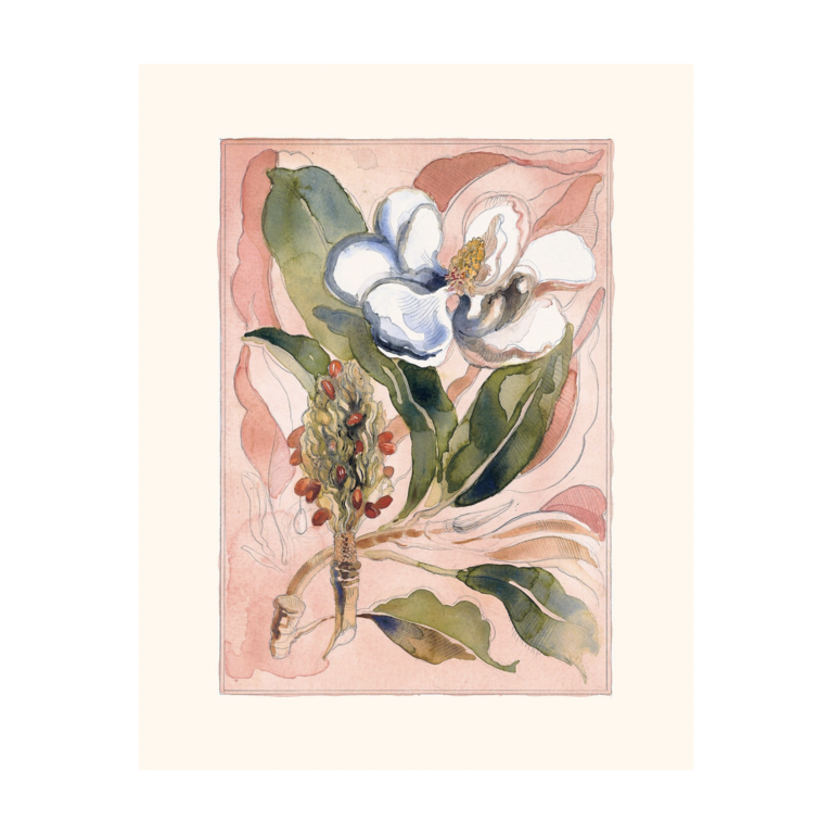 Limited Edition Magnolia Print