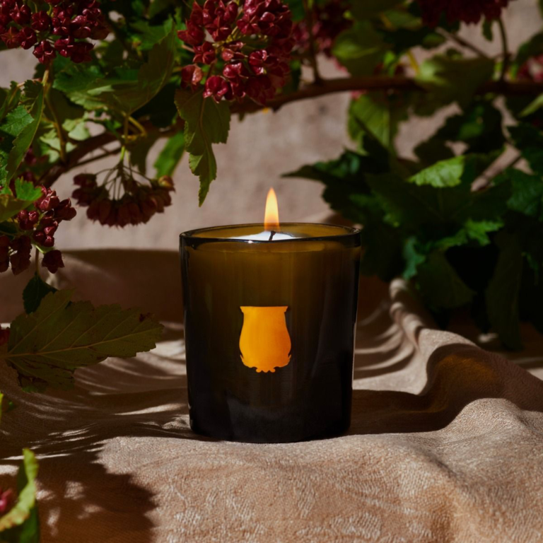 Trudon Ernesto Candle