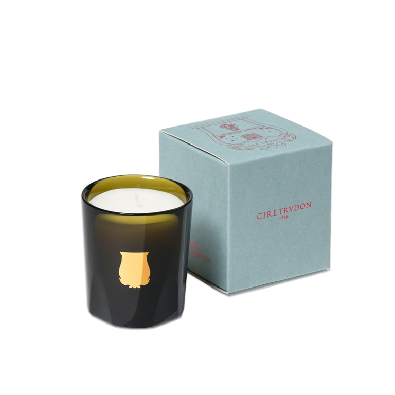 Trudon Ernesto Candle