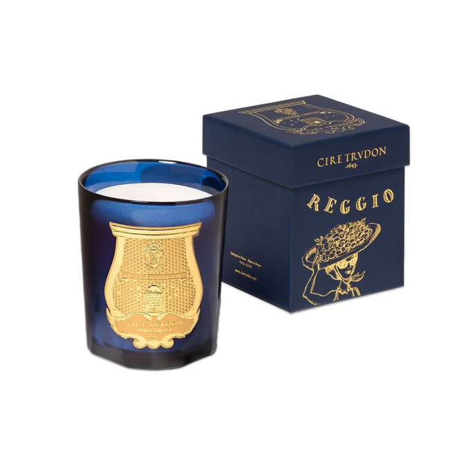 Trudon Salta Candle | Grapefruit, Citrus, Verbena, Hyacinth - The