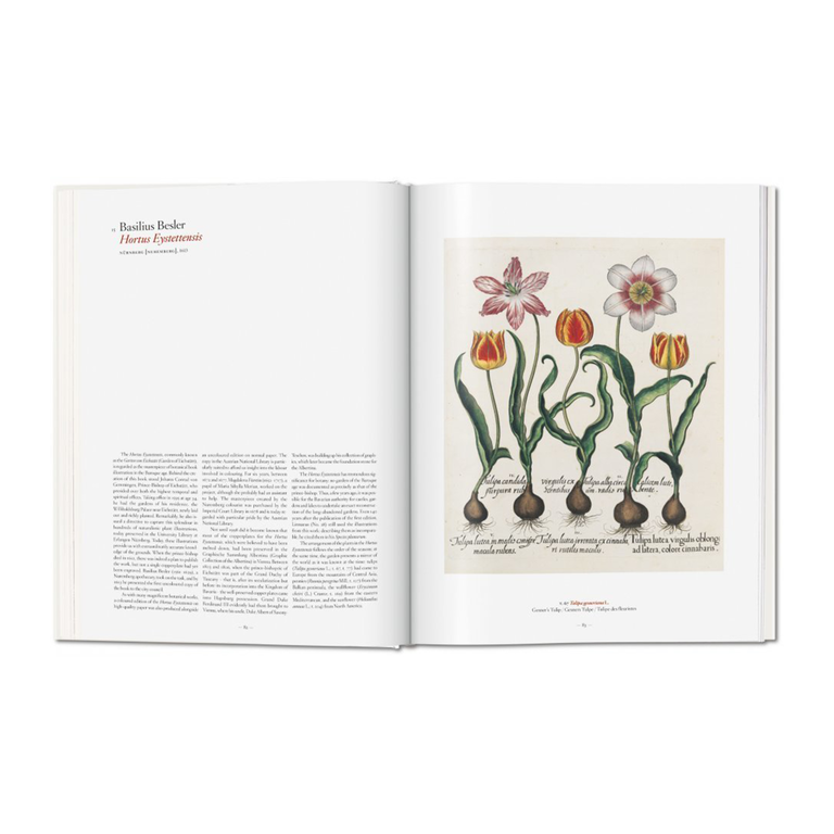 A Garden Eden: Masterpieces of Botanical Illustration Book