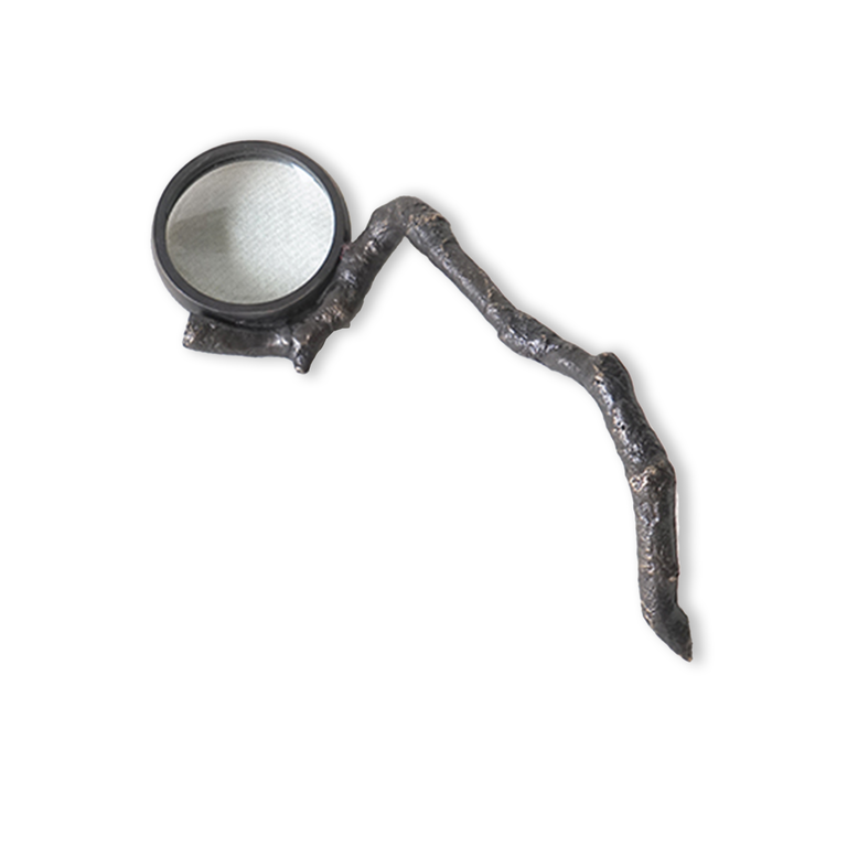 Twig Magnifying Glass