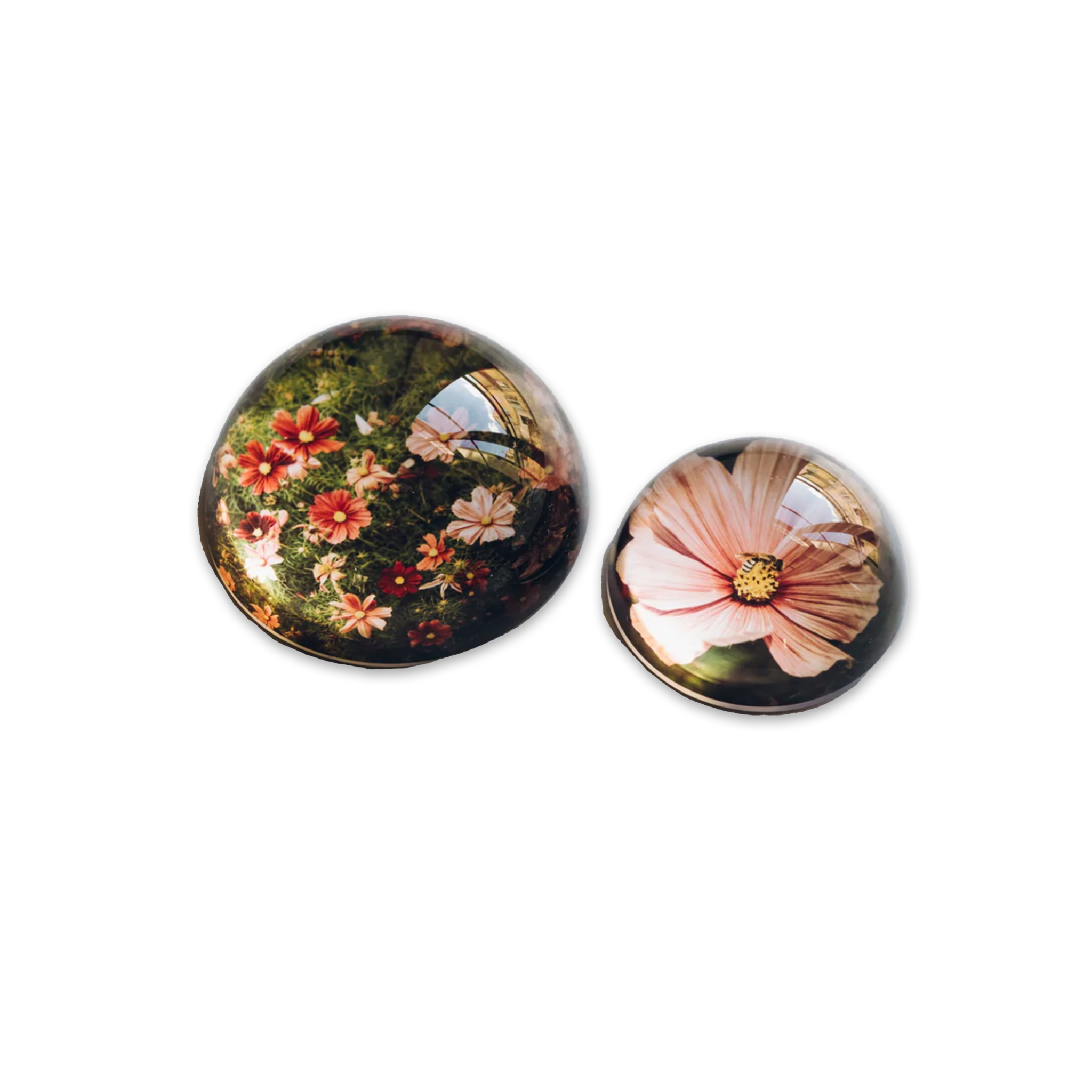 Cosmos Crystal Paperweight Set by Jamie Beck The Paris Market