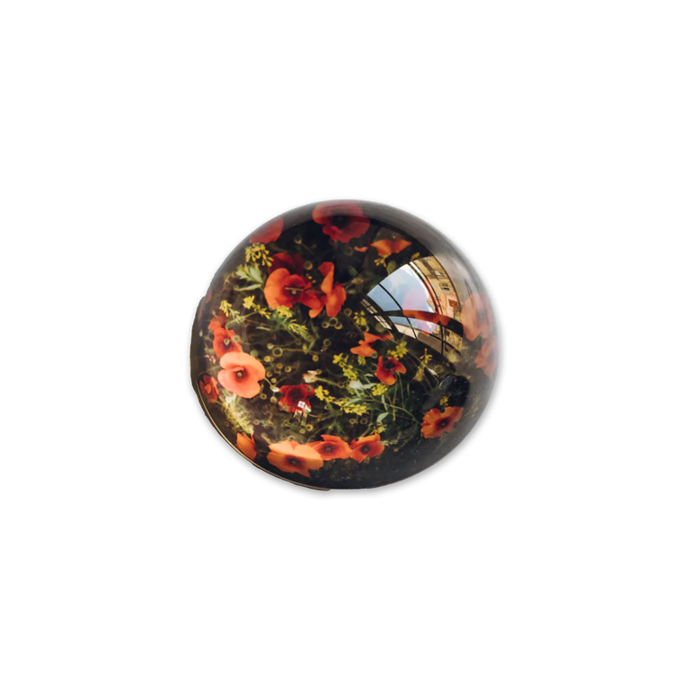 Poppies, Crystal Paperweight Set by Jamie Beck The Paris Market