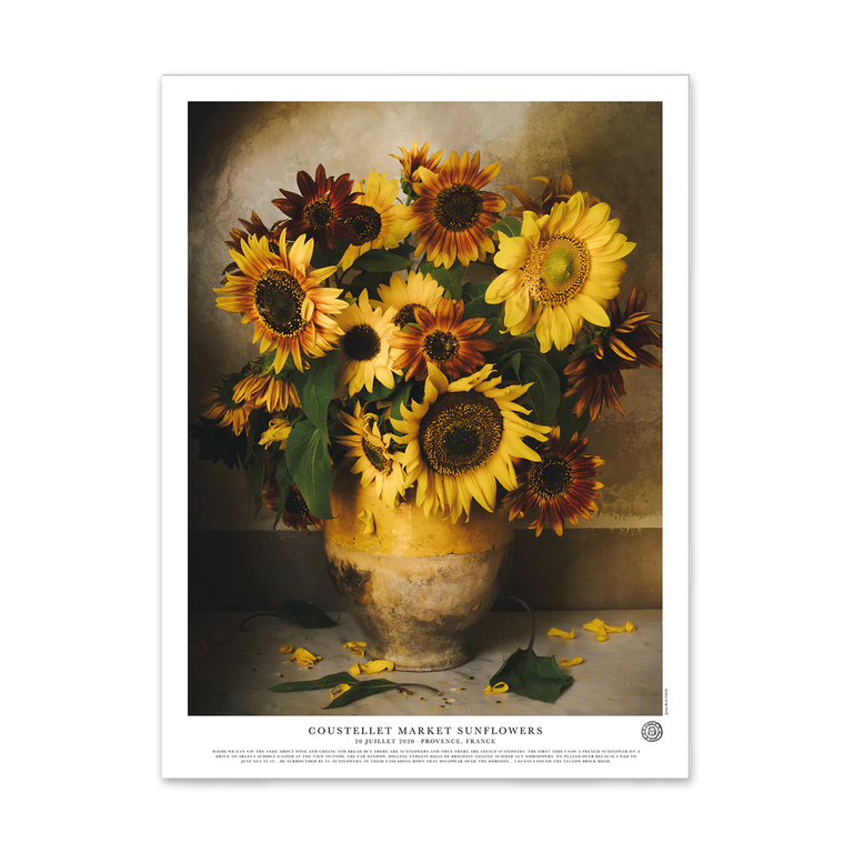 Jamie Beck Coustellet Market Sunflowers | Large Poster