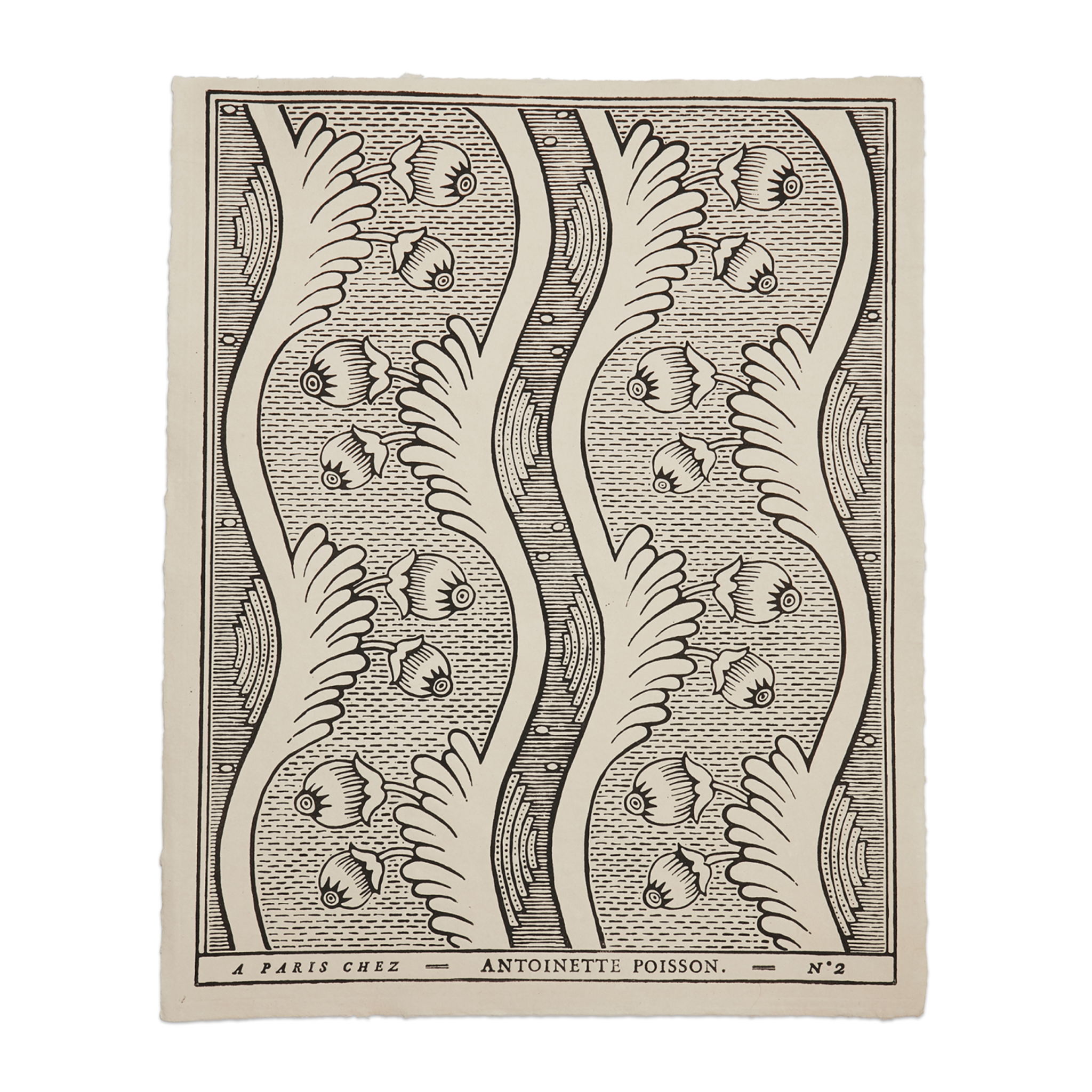 Grenades, Black Domino Paper by Antoinette Poisson - The Paris Market