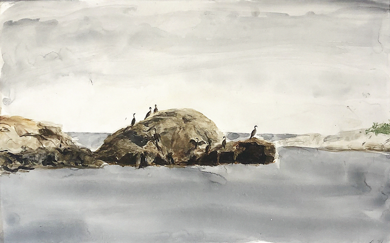 Cormorant Rock — Watercolor by Seth Fite