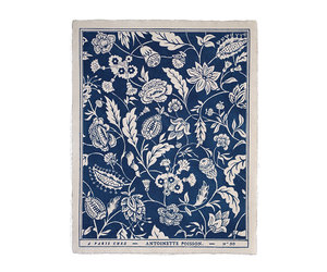 antoinette-poisson-indienne-