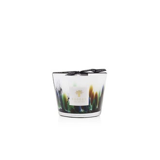 Baobab Rainforest Amazonia Baobab Candle