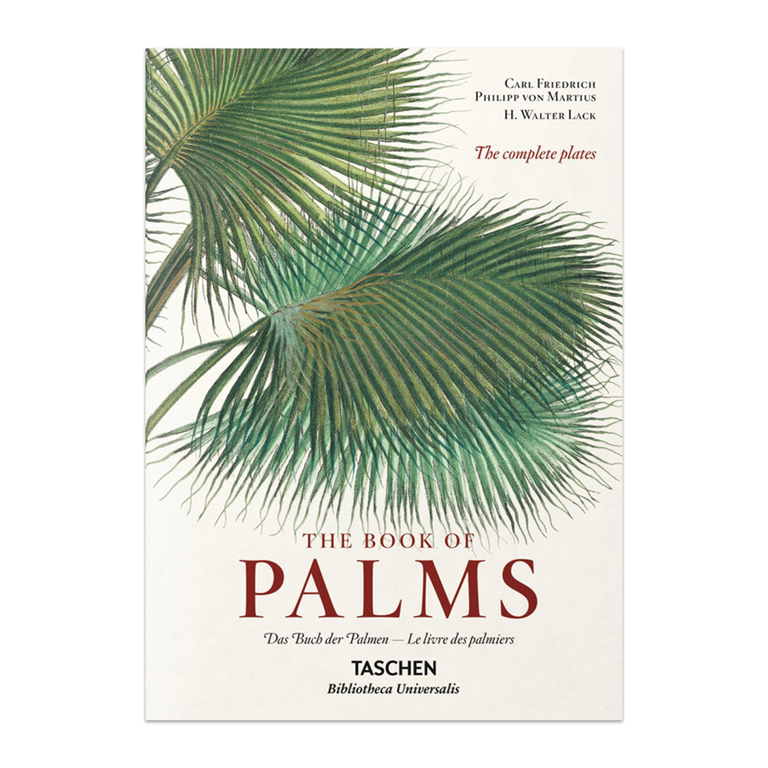 The Book of Palms (XL)