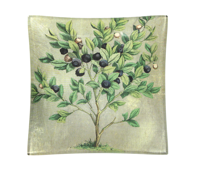 John Derian Blueberries Un Vide Poche Tray