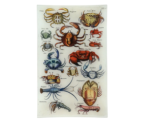 Crabs IX Decorative Tray | Découpage by John Derian - The
