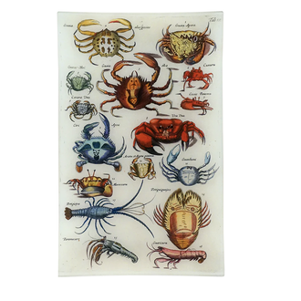 John Derian Crabs IX Tray