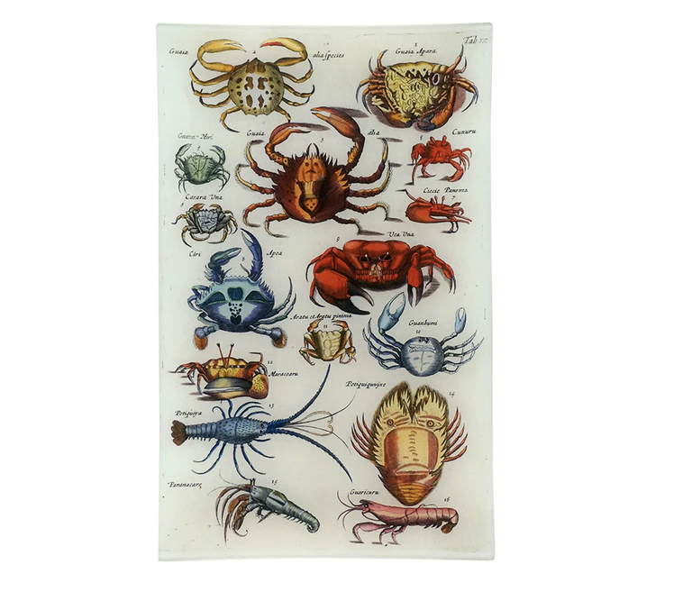 John Derian Crabs IX DecorativeTray