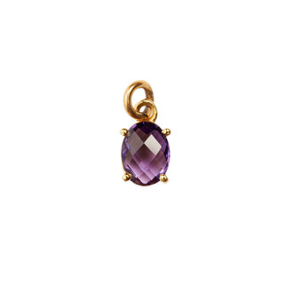 Fallen Aristocrat Purple Birthstone  Charm Fallen Aristocrat Purple Birthstone  Charm