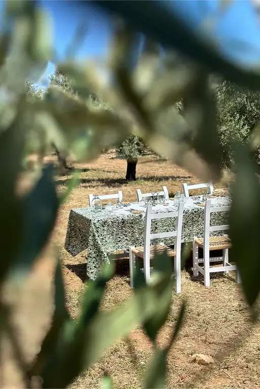 L'Olivier Tablecloth