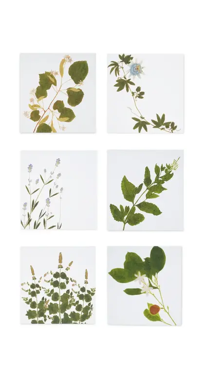 Herbarium Napkin