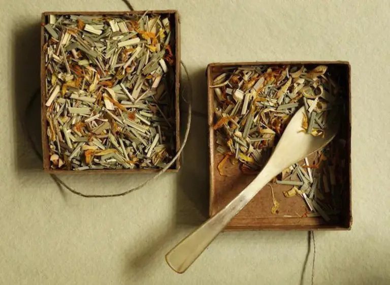 Siam Basil Lemongrass Tea by Bellocq