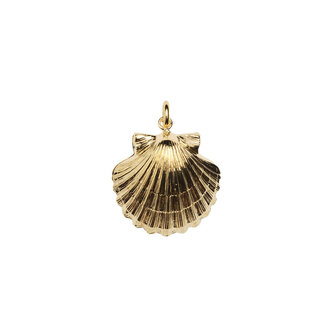 Fallen Aristocrat Shell with Pearl Charm