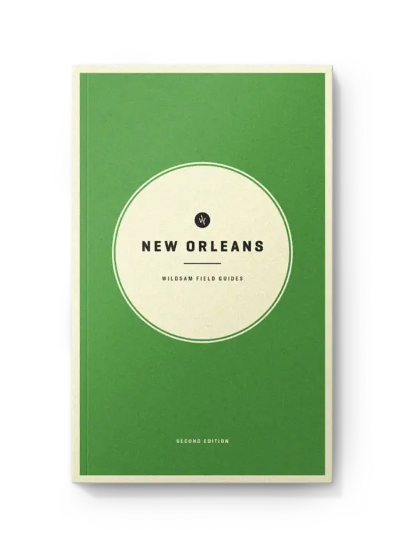 New Orleans Field Guide