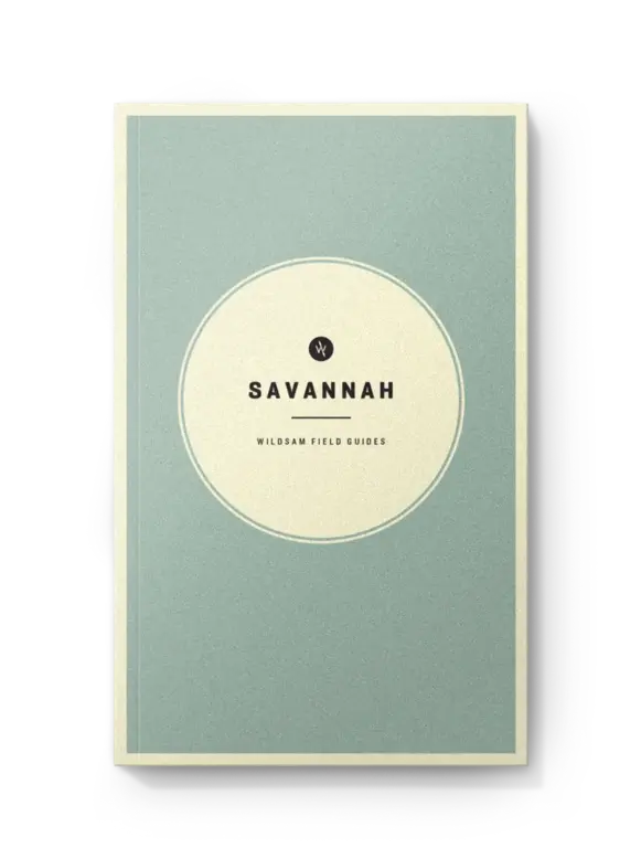 Field Guide- Savannah