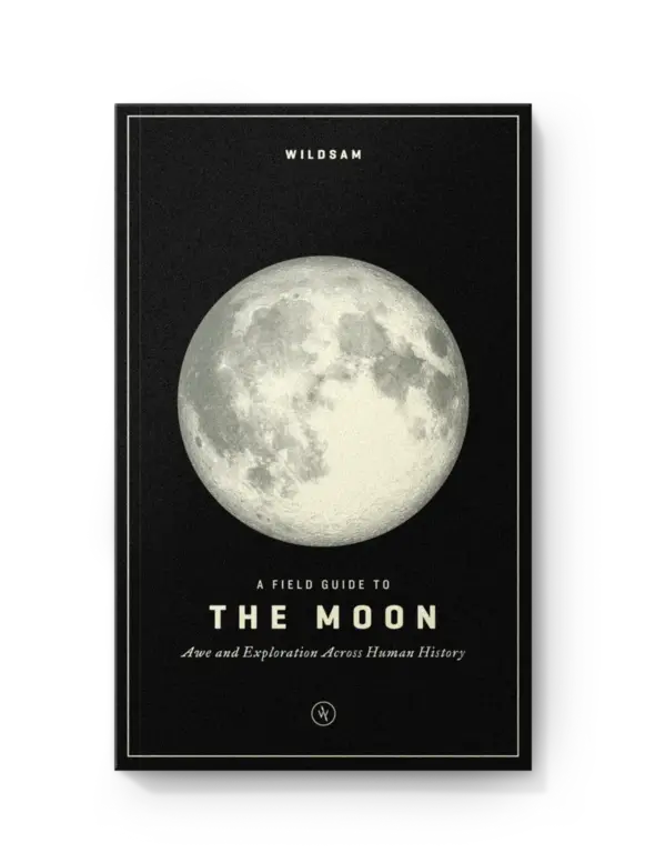 Field Guide To The Moon