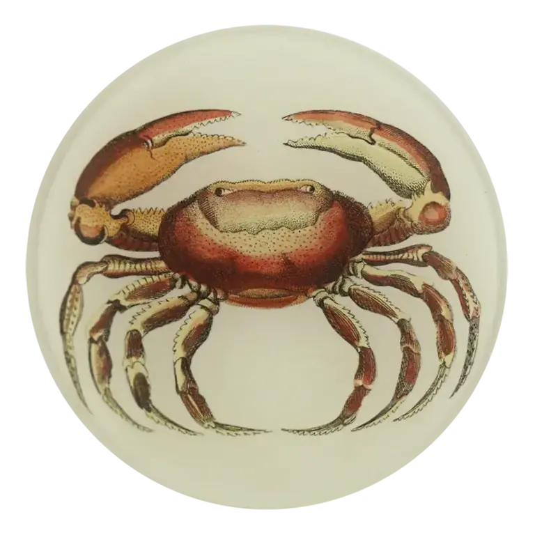Oval Crab 4" Round