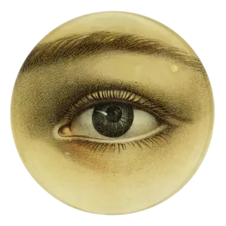 John Derian Eye Left 5 3/4" Round