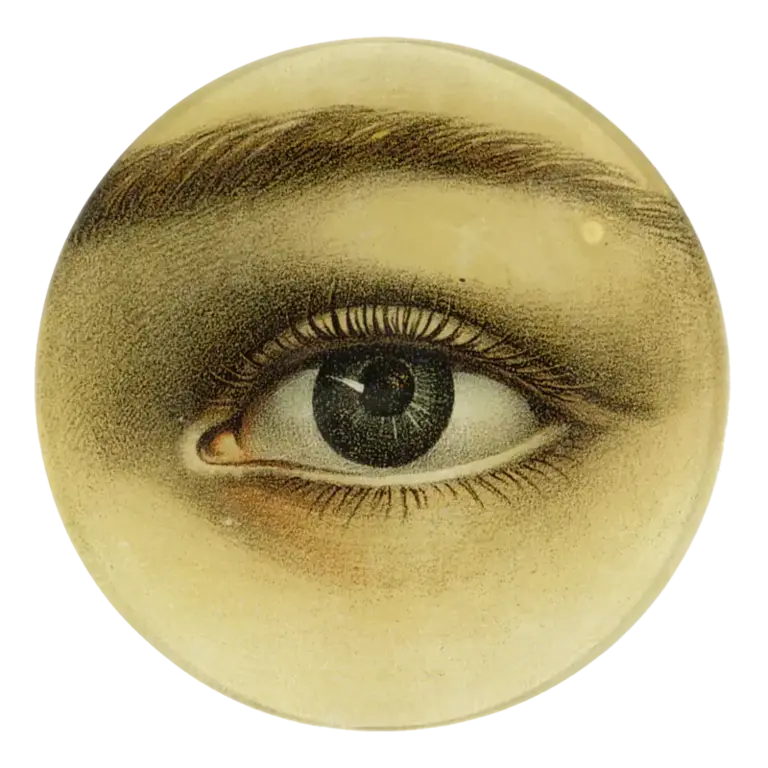 John Derian Eye Left 5 3/4" Round