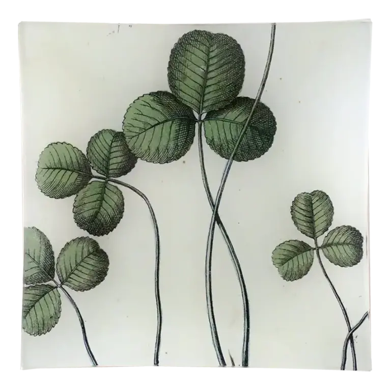John Derian Clover Un Vide Poche 6"
