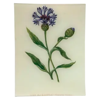 John Derian Corn Blue-Bottle Tray John Derian Corn Blue-Bottle Tray