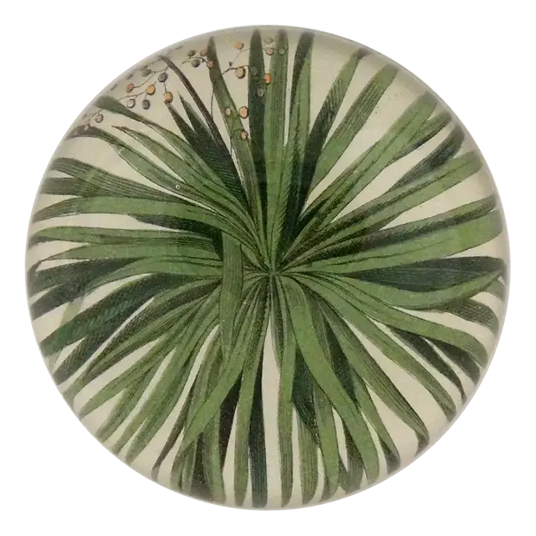 Palm Dome Paperweight