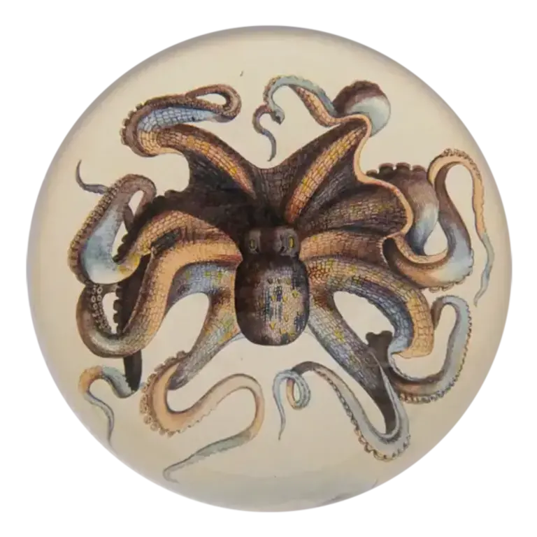 Octopus Dome Paperweight