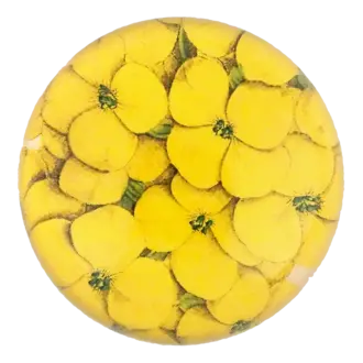 John Derian Chrysanthus Flower Dome Paperweight John Derian Chrysanthus Flower Dome Paperweight