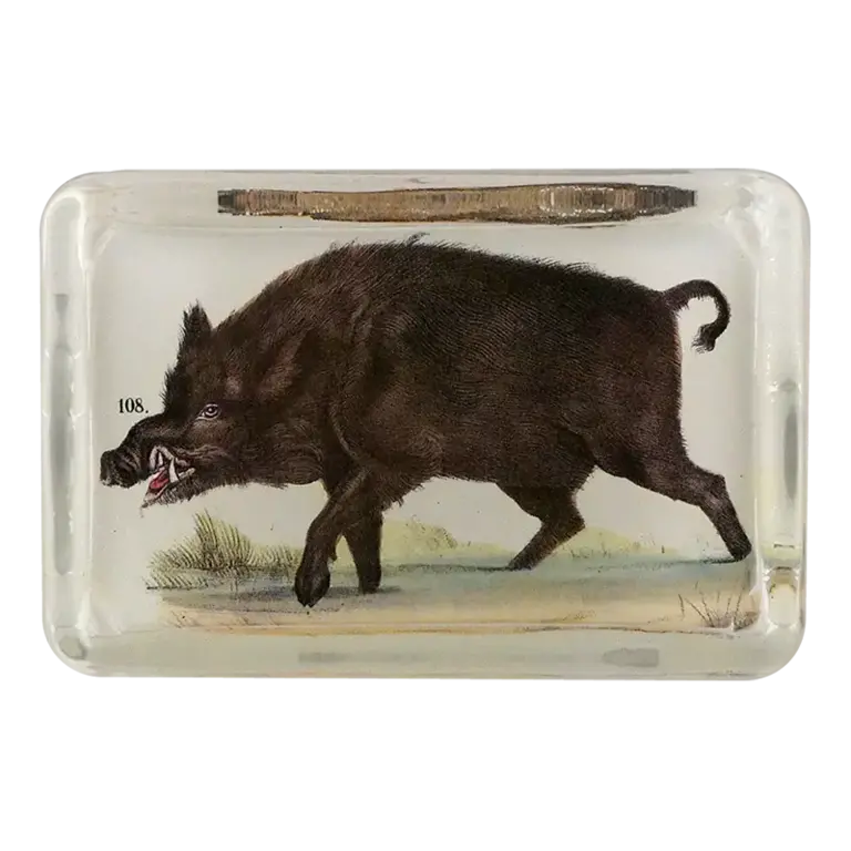 Boar XL Rectangle Paperweight
