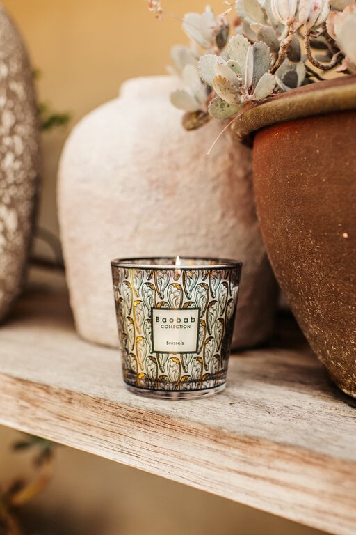 Brussels Baobab Candle