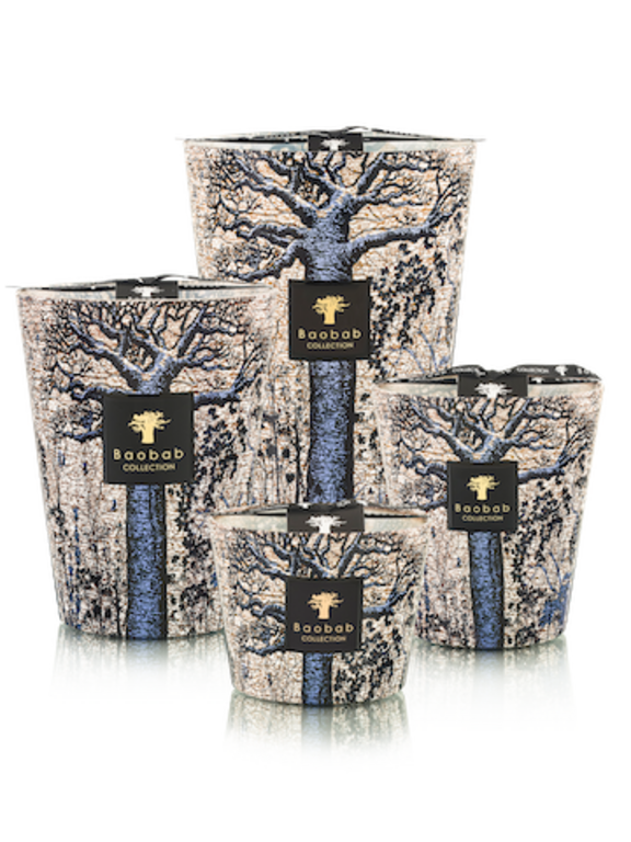 Baobab Sacred Trees Seguela Candle