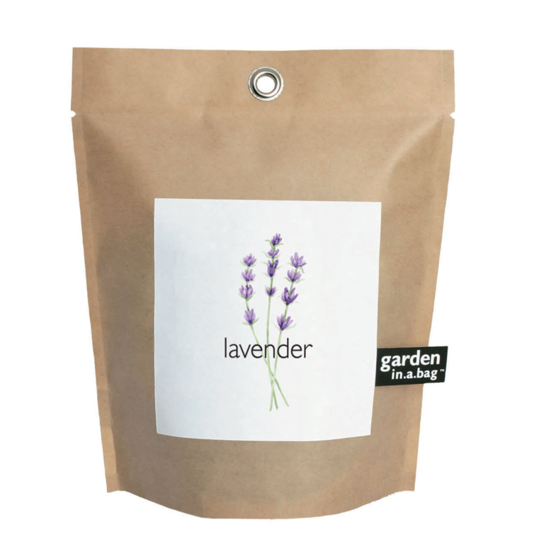 Lavender Garden in a Bag