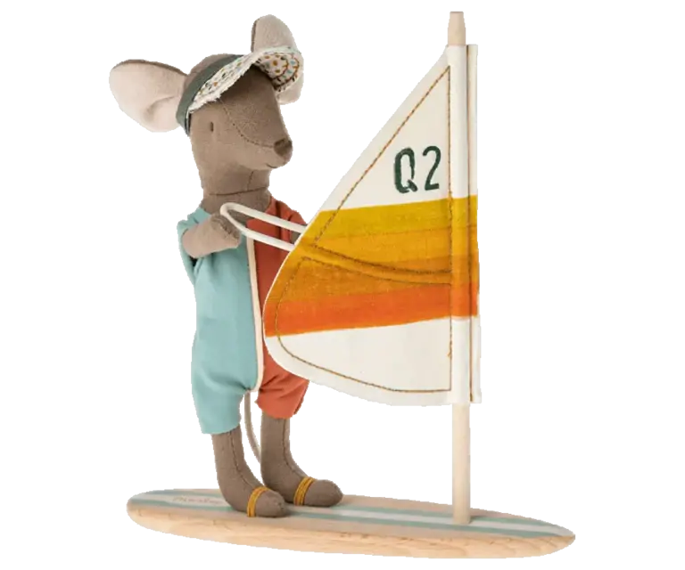 Big Brother Mouse Beach Set